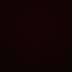 Meet your Posher, Owen